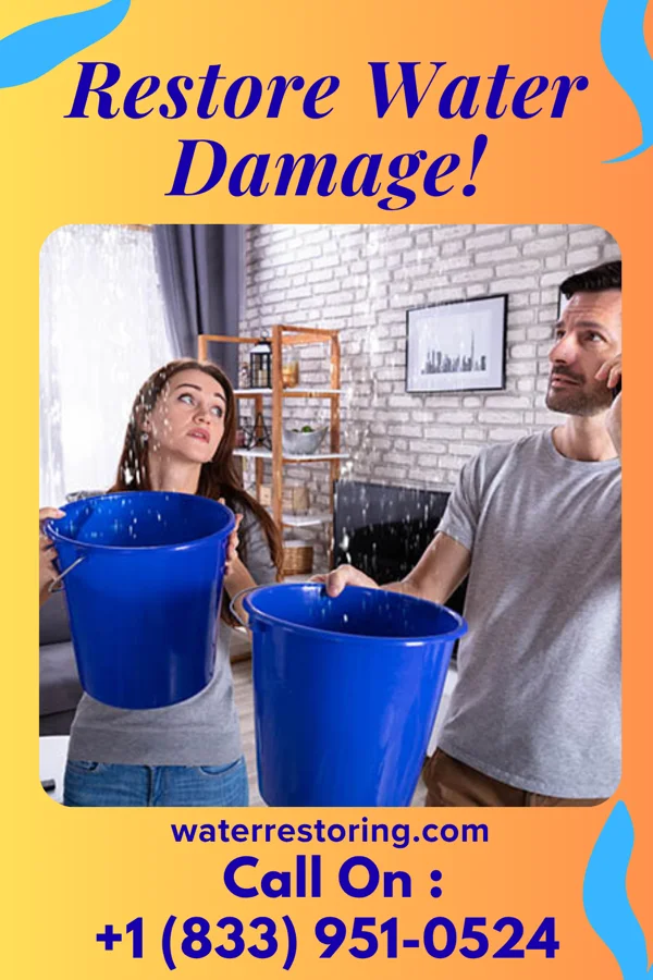 water restoration Ideal Emergency Restoration Professionals Greeleyville