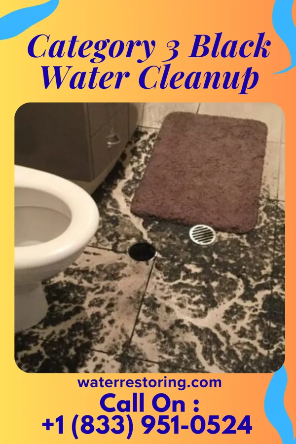 Category 3 Black Water Cleanup in Greeleyville, SC