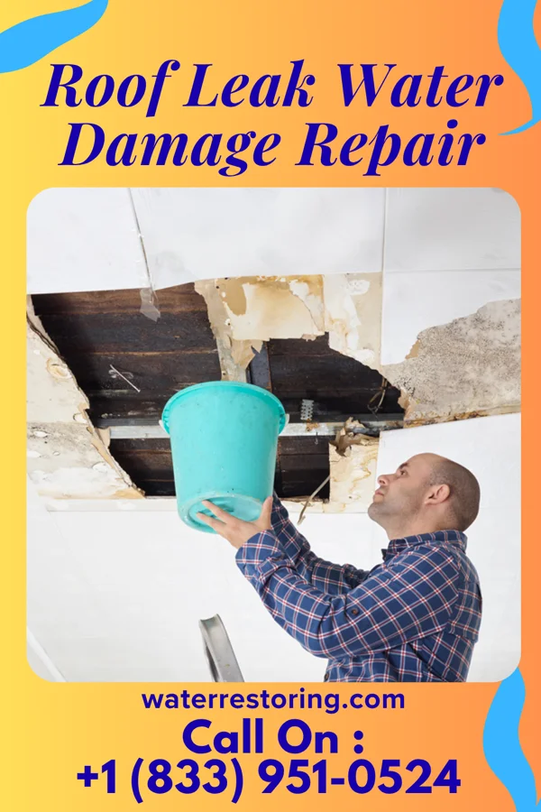Roof Leak Water Damage Repair in Greeleyville, SC