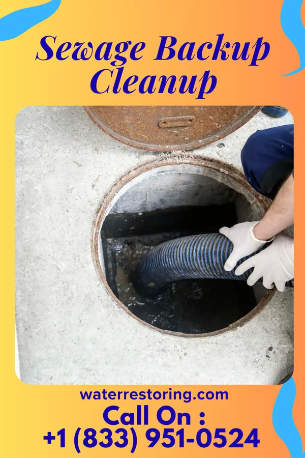 Sewage Backup Cleanup in Greeleyville, SC